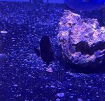 IMG_7327.jpeg