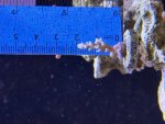 IMG_8518.jpeg