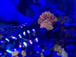 IMG_2388.jpeg