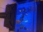 IMG_4059.jpeg