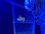 IMG_3557.jpeg