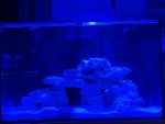 IMG_3297.jpeg