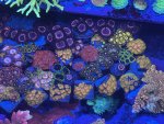 IMG_9064.jpeg