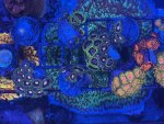 IMG_9066.jpeg