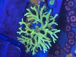 IMG_9082.jpeg