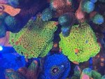 IMG_9086.jpeg