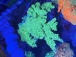 IMG_9087.jpeg