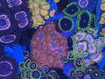 IMG_9093.jpeg