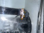 IMG_3610.jpeg