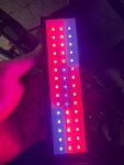 IMG_4919.jpeg