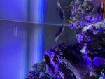 IMG_3168.jpeg