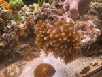 IMG_0630.jpeg IMG_0630.jpeg