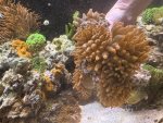 IMG_0632.jpeg IMG_0632.jpeg