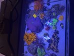 IMG_4288.jpeg