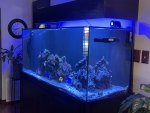 IMG_8362.jpeg