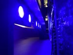 IMG_8361.jpeg