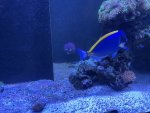 IMG_8360.jpeg