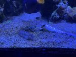 IMG_8359.jpeg