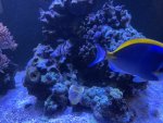 IMG_8358.jpeg