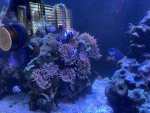 IMG_8357.jpeg