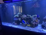 IMG_8355.jpeg