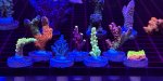 IMG_1944.jpeg