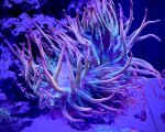 IMG_0073.jpeg
