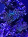 IMG_2879.jpeg