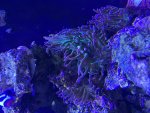 IMG_2882.jpeg