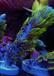 IMG_3820.jpeg