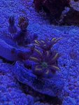IMG_3849.jpeg