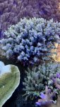 IMG_0590.jpeg