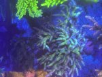 IMG_1529.jpeg