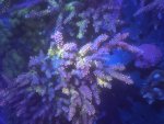 IMG_1522.jpeg