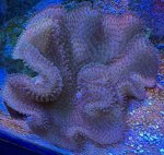 IMG_3902.jpeg