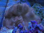 IMG_3901.jpeg