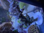 IMG_7144.jpeg