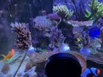 IMG_7142.jpeg