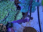 IMG_6775.jpeg