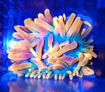 candy corn under white spectrum 1.jpg