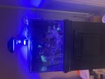IMG_2706.jpeg