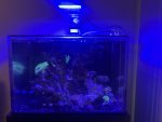 IMG_2705.jpeg