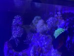 IMG_2712.jpeg