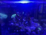 IMG_2708.jpeg