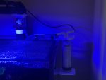 IMG_2713.jpeg