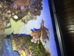IMG_6637.jpeg