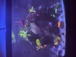 IMG_8297.jpeg
