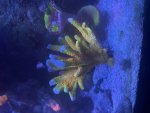 IMG_8300.jpeg