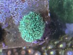 IMG_2407.jpeg
