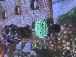 IMG_2406.jpeg